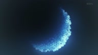 7781:13:00000075.jpg