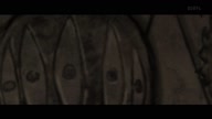 7781:13:00000133.jpg