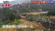7781:16:00000088.jpg