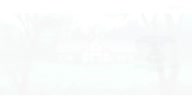 7781:19:00000159.jpg