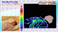 7781:21:00000179.jpg