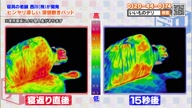 7781:21:00000180.jpg
