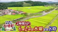 7781:22:00000047.jpg