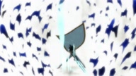 7781:22:00000104.jpg