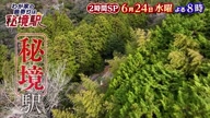 7781:22:00000163.jpg