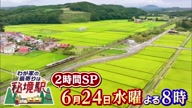 7781:22:00000167.jpg
