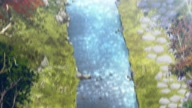 7786:12:00000137.jpg