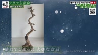 7786:3:00000178.jpg