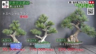 7786:3:00000179.jpg