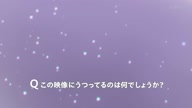 7786:5:00000048.jpg