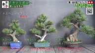 7786:5:00000182.jpg