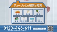 7786:7:00000182.jpg