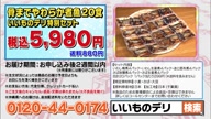 7786:8:00000181.jpg