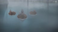 7787:80:00000149.jpg