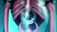 7787:85:00000112.jpg