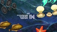 7789:5:00000149.jpg