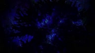 7800:1:00000019.jpg