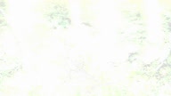 7800:1:00000024.jpg