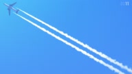 7800:1:00000066.jpg