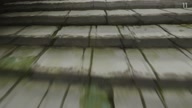 7800:1:00000076.jpg