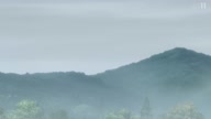 7800:10:00000090.jpg