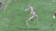 7800:10:00000104.jpg
