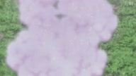 7800:10:00000136.jpg