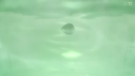 7800:11:00000136.jpg
