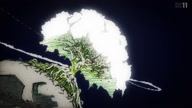 7800:11:00000148.jpg