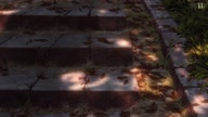 7800:14:00000051.jpg