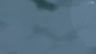 7800:17:00000037.jpg