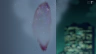 7800:17:00000062.jpg