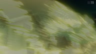 7800:19:00000145.jpg
