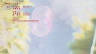 7800:19:00000152.jpg