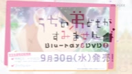 7800:21:00000161.jpg