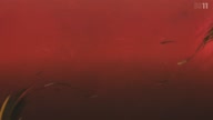 7800:24:00000149.jpg