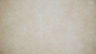 7800:4:00000163.jpg