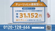 7800:4:00000167.jpg