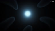 7800:5:00000129.jpg