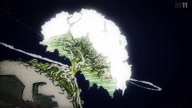 7800:6:00000148.jpg