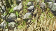 7800:7:00000030.jpg
