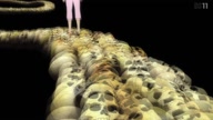 7800:7:00000070.jpg