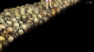 7800:7:00000084.jpg