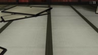 7800:8:00000025.jpg