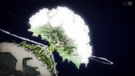 7800:8:00000148.jpg