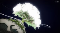 7800:9:00000148.jpg
