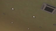 7810:10:00000106.jpg