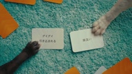 7810:12:00000177.jpg