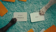 7810:13:00000177.jpg