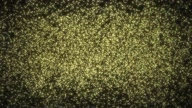 7810:19:00000007.jpg